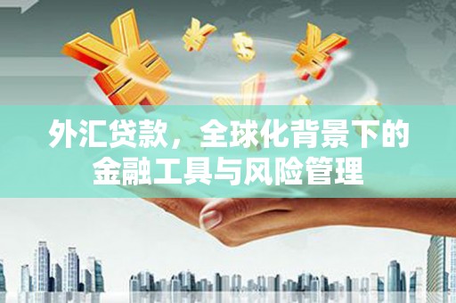 凤城外汇贷款，全球化背景下的金融工具与风险管理